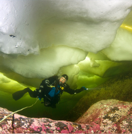 ice diving white sea
