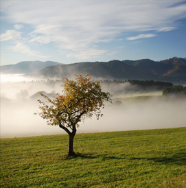 Austrian lakes and rivers tour