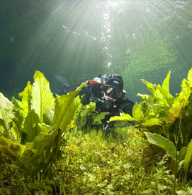 green lake
