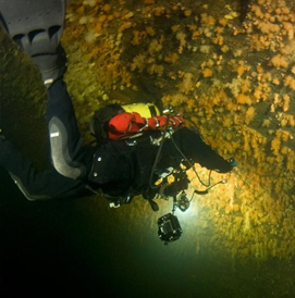 Summer Diving, White Sea, Russia