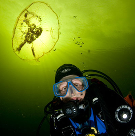 Summer Diving, White Sea, Russia